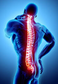 Spinal cord injury rehabilitation